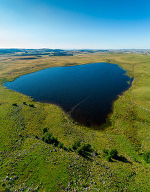 Aubrac