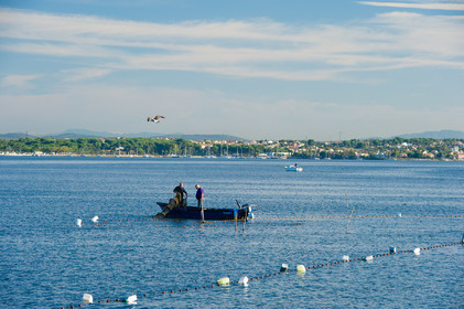 Pêcheurs