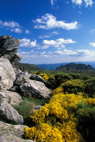 Le massif du Caroux