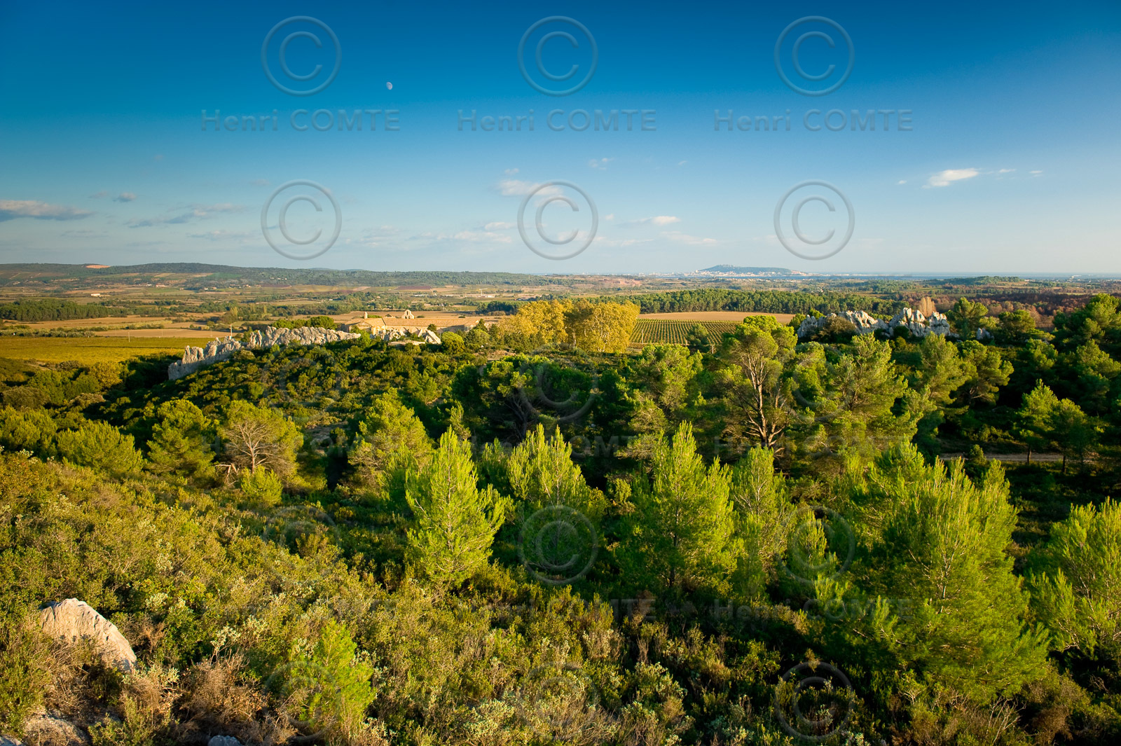 Plaine du Pays de Thau à côté de l'abbaye de Valmagne- Hérault
