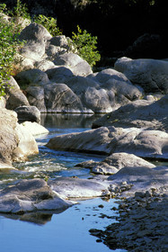 Torrent
