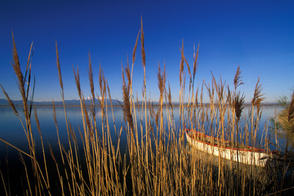 Etang de Canet