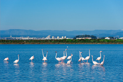 Etang et Montpellier
