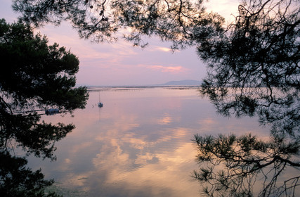 Etang de Thau