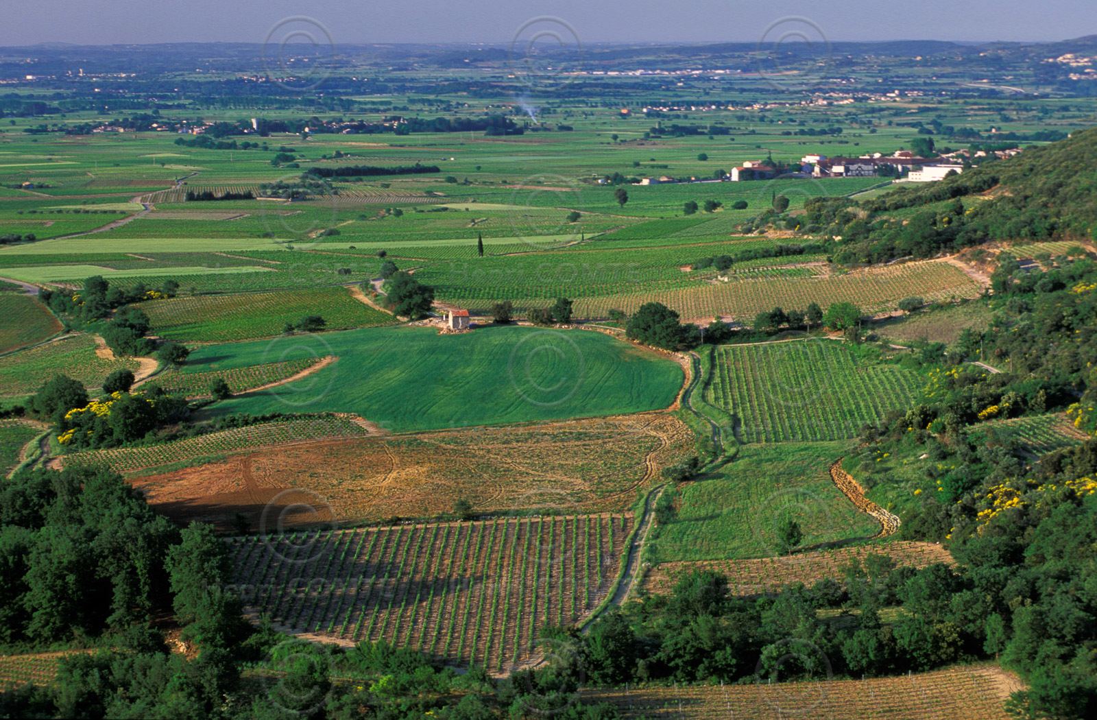 Plaine de l'Hérault