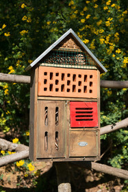 Refuge