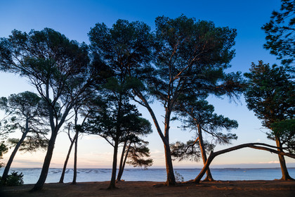 Etang de Thau