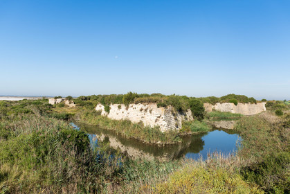Fort de Peccais
