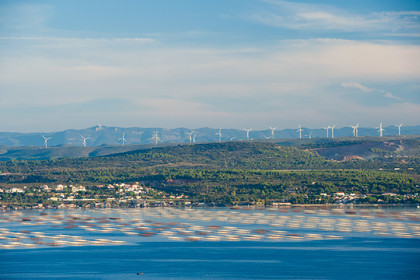 Bassin de Thau