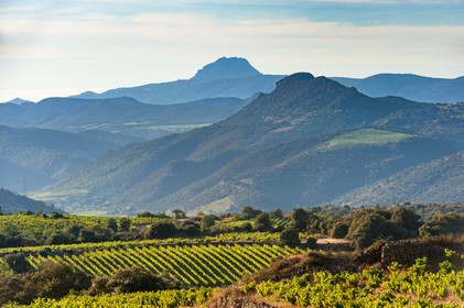 Vignoble Caramany