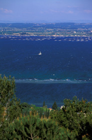 Etang de Thau