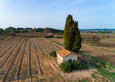 Vignoble Pinet