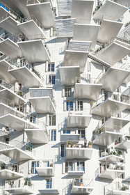 L'Arbre Blanc