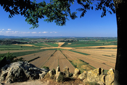 Etang de Montady