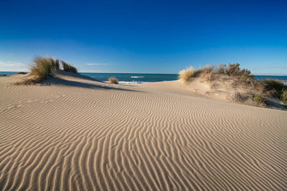 Plage de l'Espiguette