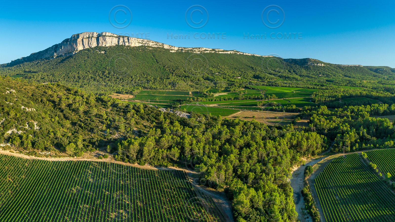 Vignoble Pic Saint Loup