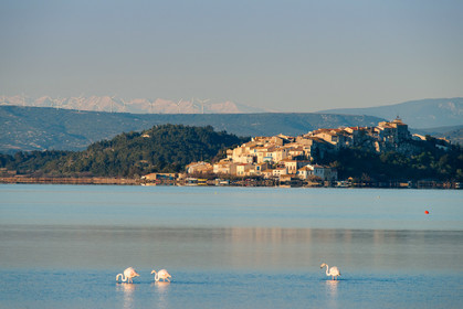 Bages