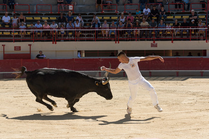 Course camarguaise
