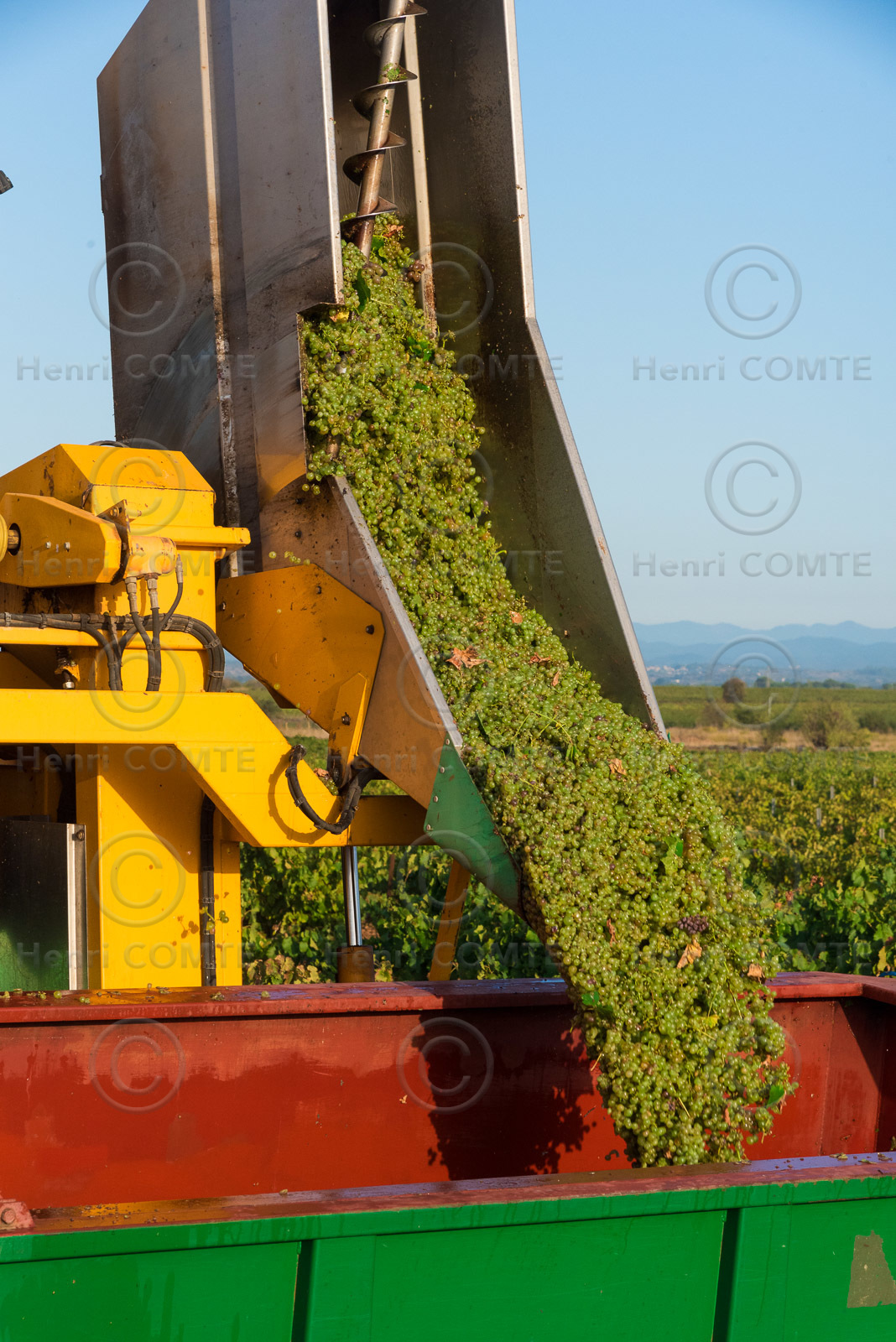 Vendange à la machine