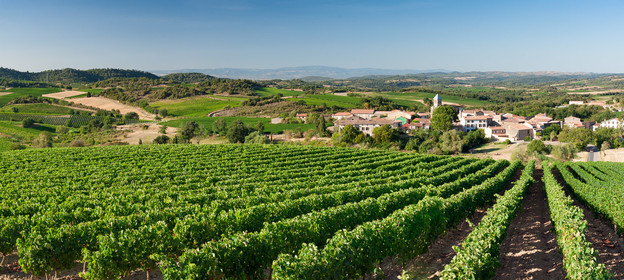Vignoble de Limoux