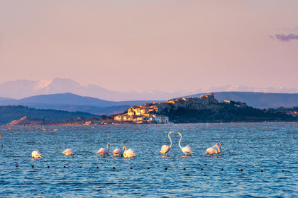 Etang de Bages