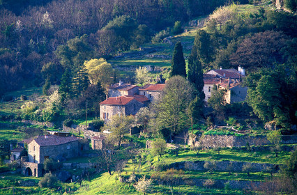 Cévennes