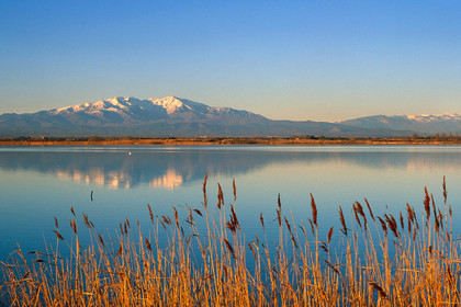 Etang de Canet