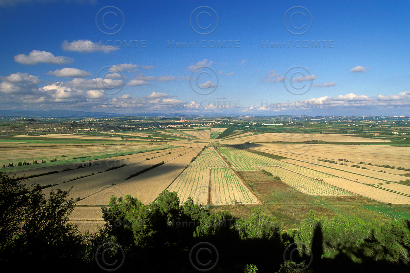 L’étang de Montady