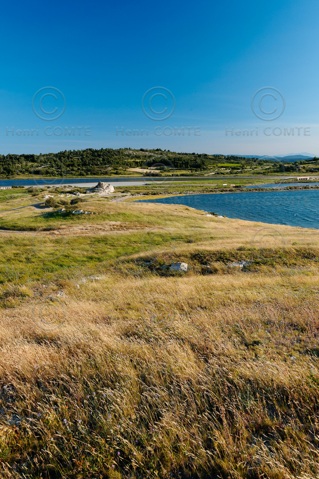Etang de Bages - Sigean