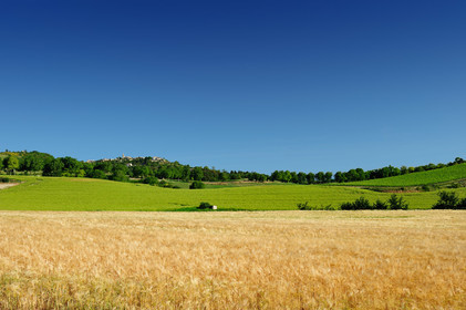 Village de Fanjeaux