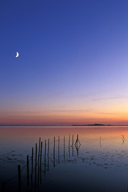 Etang de l'Arnel