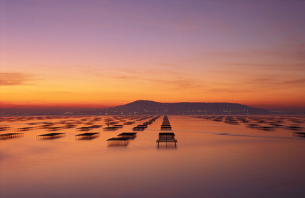 Etang de Thau