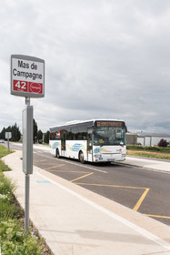 Mobilité urbaine