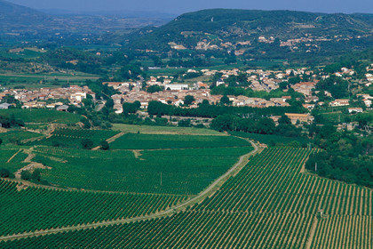 Vignoble Saint Chinian