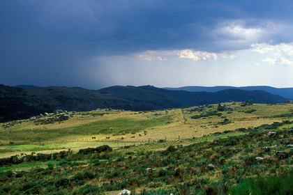 Lozère