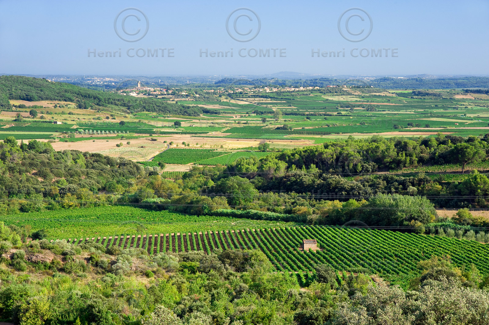 Vignoble Saint Chinian