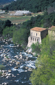 Vallée de l'Orb