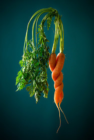 Carottes