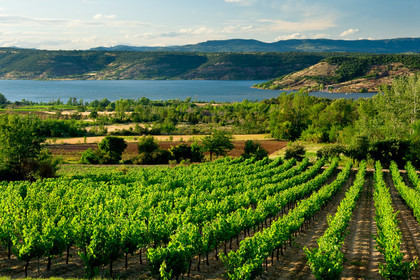 Vignoble du Salagou