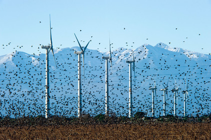 Eoliennes