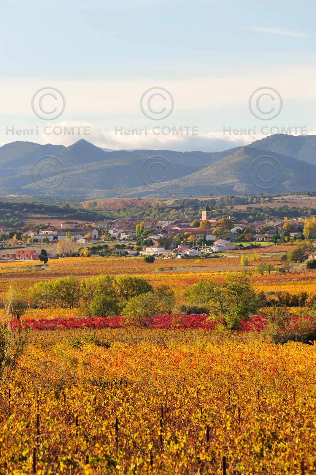 Vignoble de Faugeres