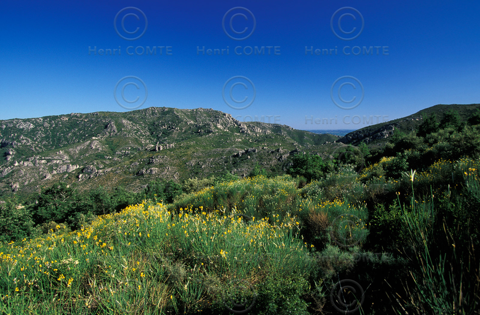 Vallée de la Buèges
