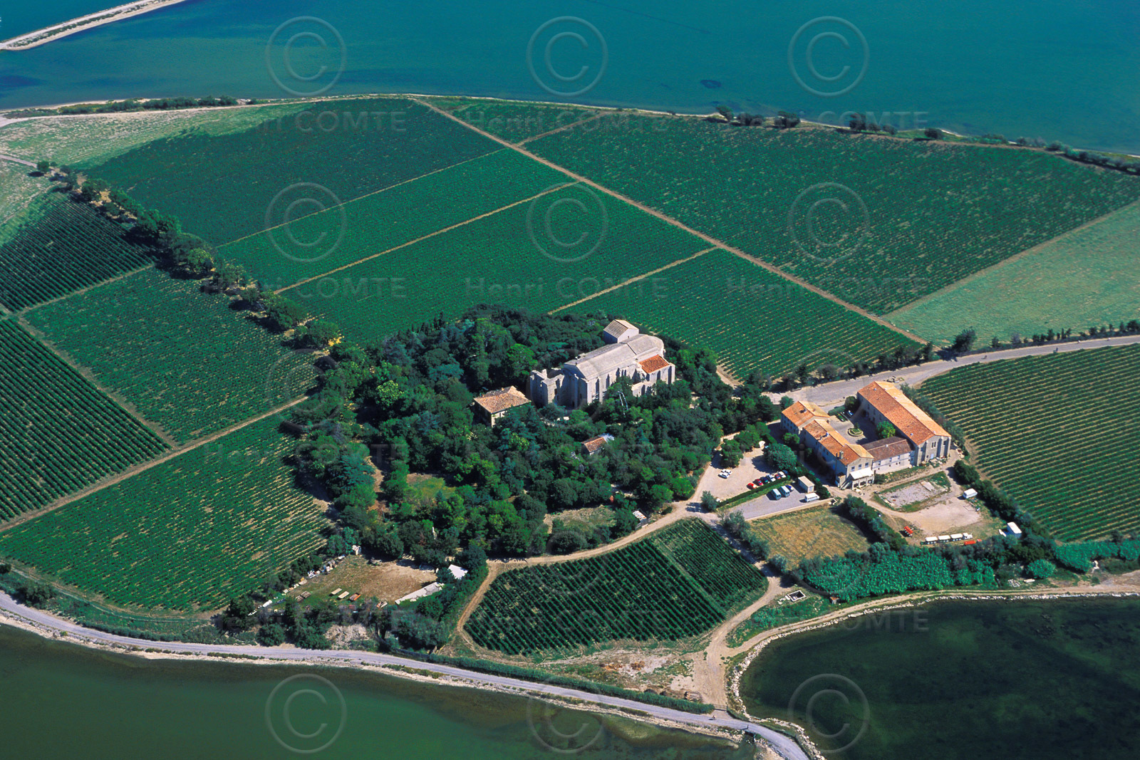 Cathédrale de Maguelone