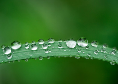 Gouttes d'eau