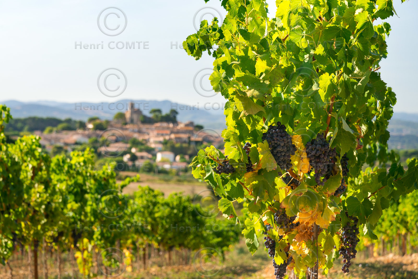 Saint Pons de Mauchens