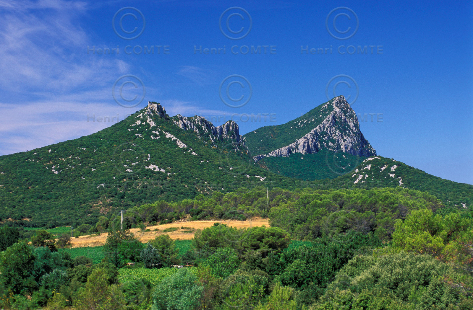 Pic Saint Loup