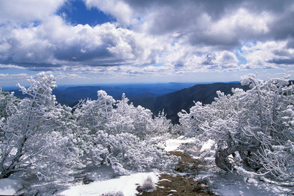 Mont Aigoual