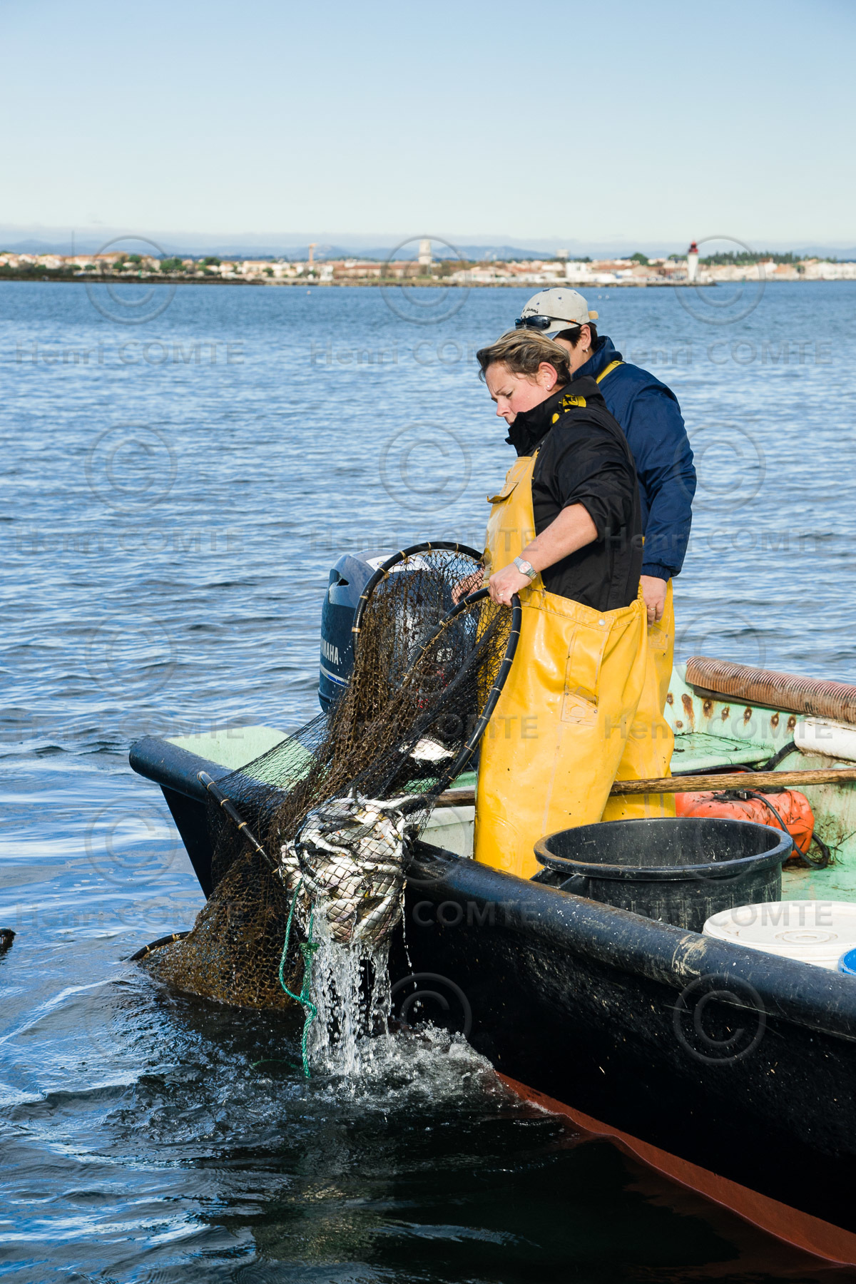 Pêche étang de thau