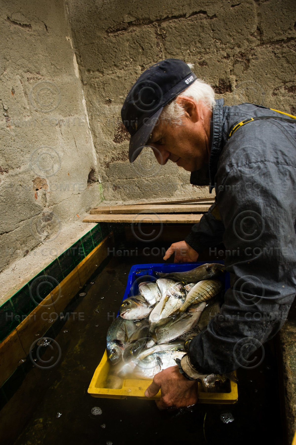 Pêche étang de thau