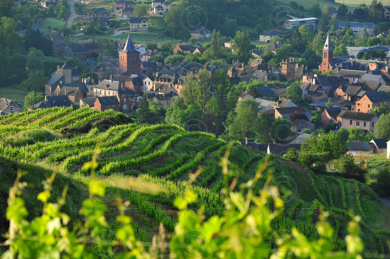 Vignoble de Marcillac